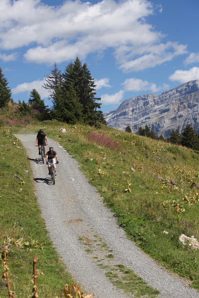 DuVine／自行車／旅遊／瑞士